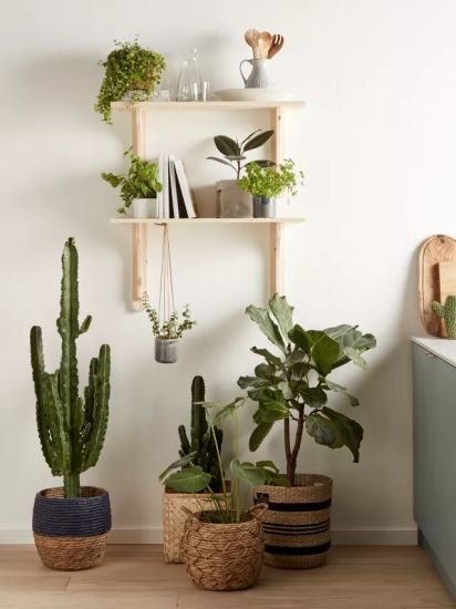 Patterned Weave Water Hyacinth Planter